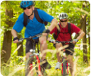 Bicyclists in the woods