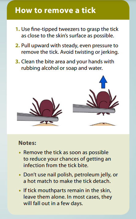 how to remove a tick